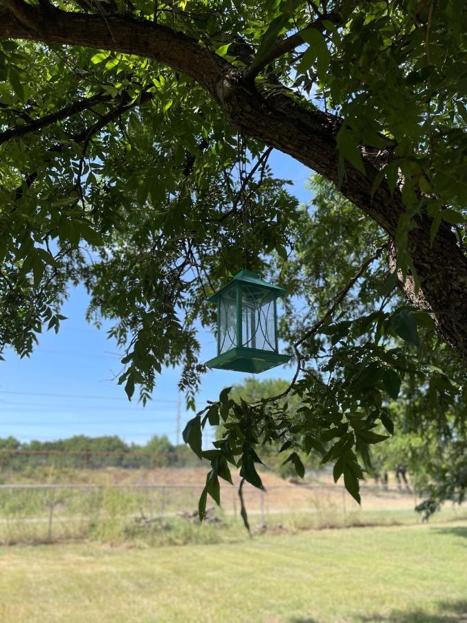 Pet Friendly Graham Home Route 66 At The Mistletoe Farm Bagian luar foto